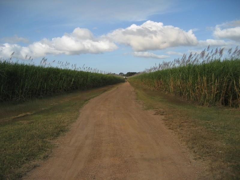 143 Pilchowski Road, Giru QLD 4809