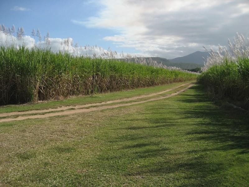 143 Pilchowski Road, Giru QLD 4809