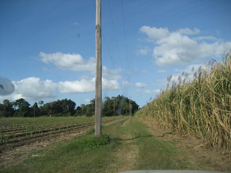 143 Pilchowski Road, Giru QLD 4809