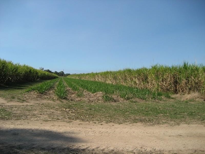 Mount Surround QLD 4809