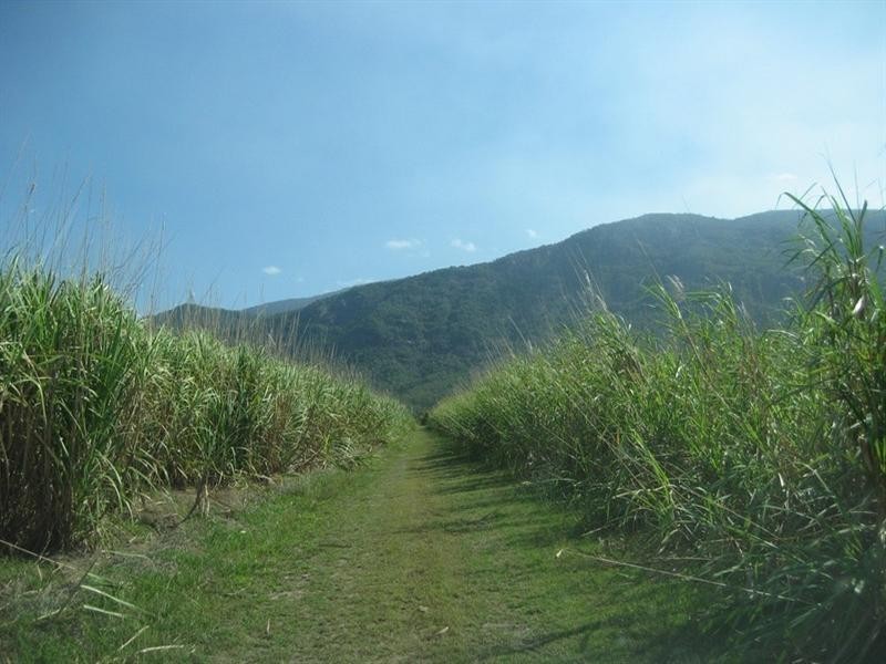 Mount Surround QLD 4809