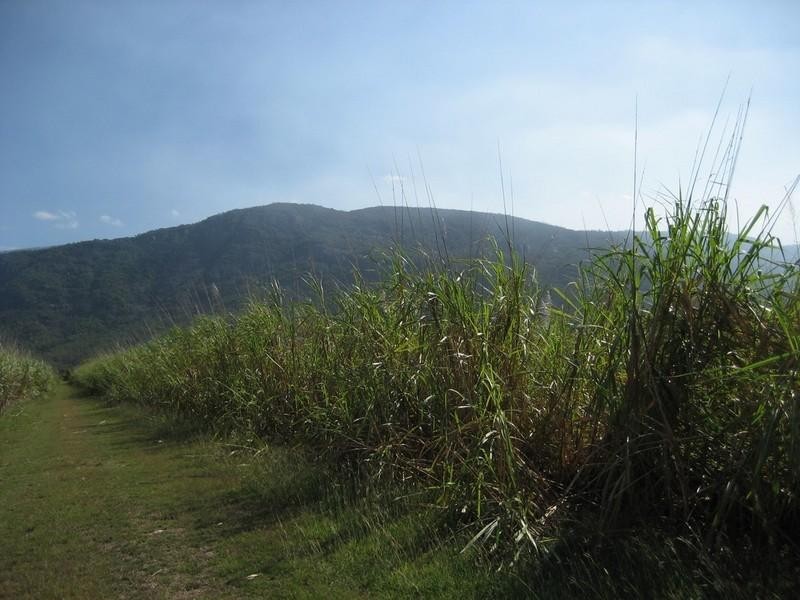 Mount Surround QLD 4809