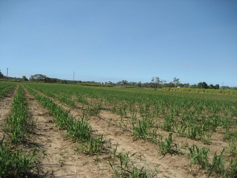 Mount Surround QLD 4809