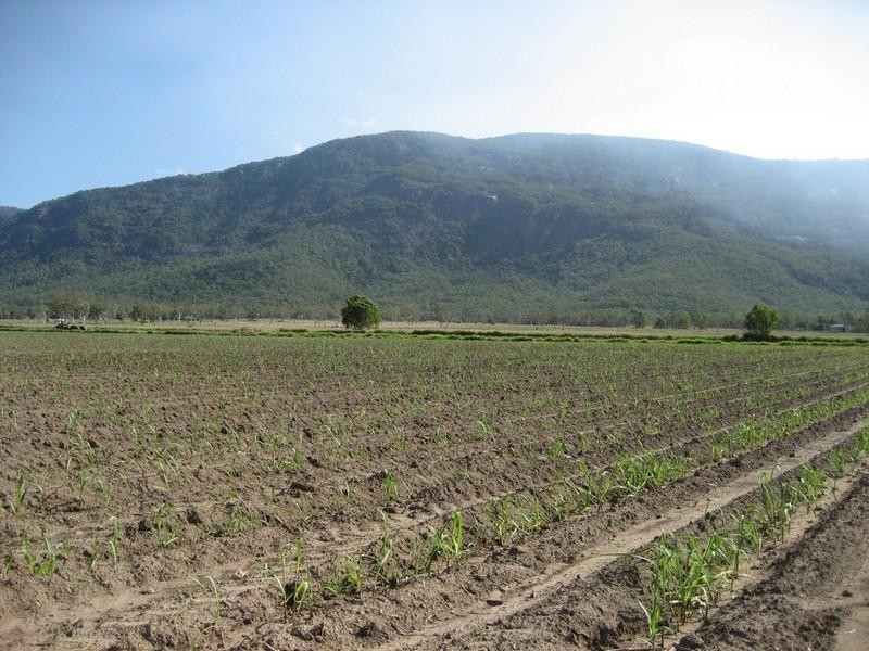 Mount Surround QLD 4809