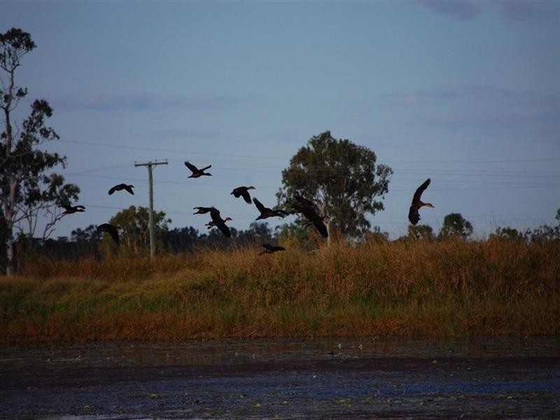 Mount Surround QLD 4809