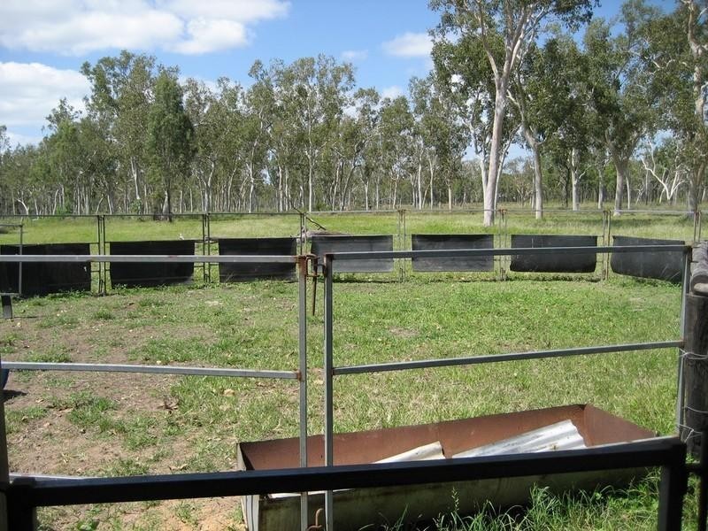 Majors Creek QLD 4816