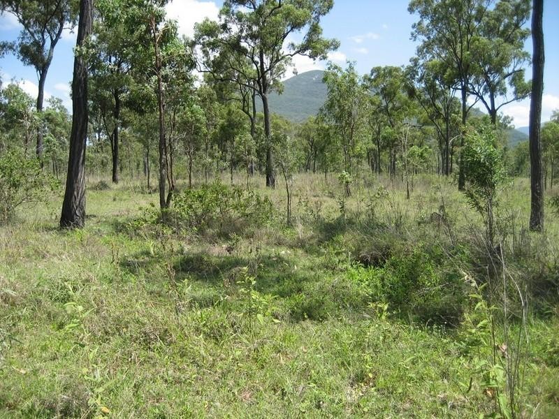 Majors Creek QLD 4816