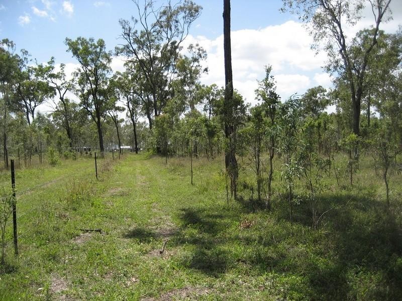 Majors Creek QLD 4816