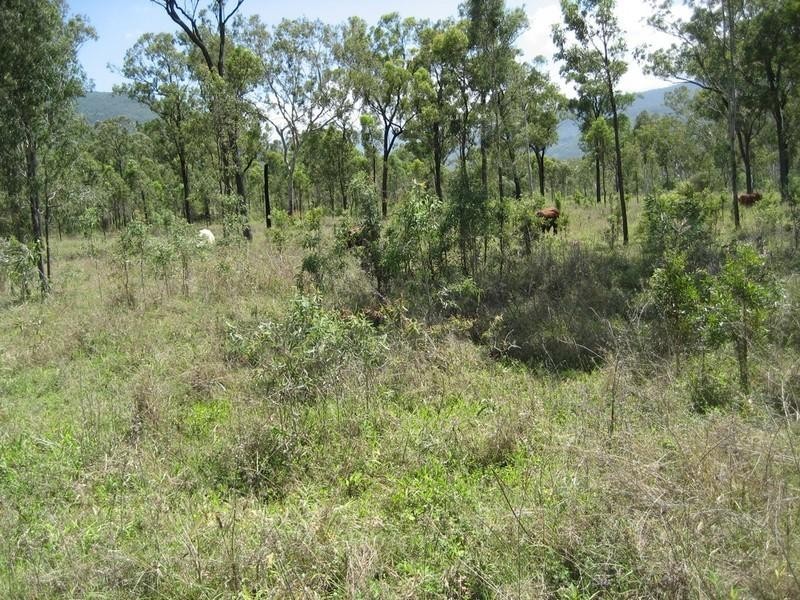 Majors Creek QLD 4816