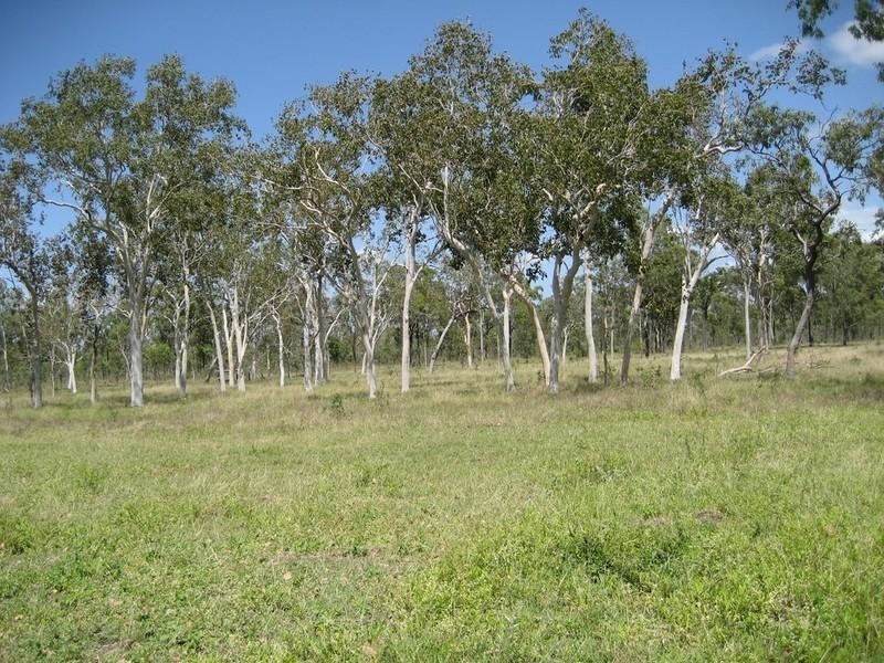 Majors Creek QLD 4816