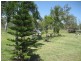 Majors Creek QLD 4816