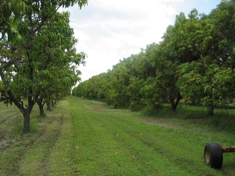 Horseshoe Lagoon QLD 4809