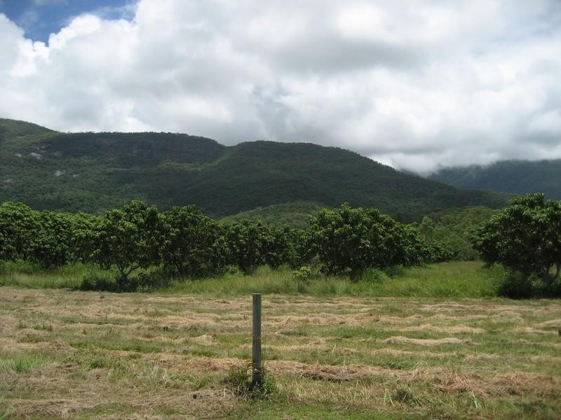 Mount Surround QLD 4809