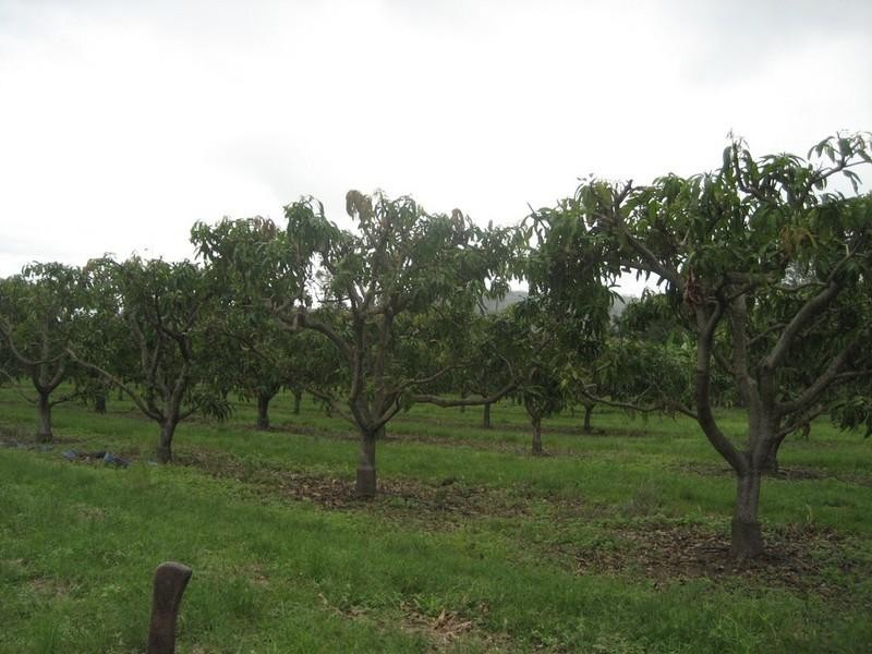 Mount Surround QLD 4809