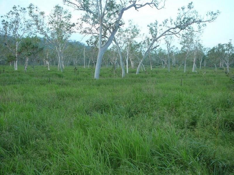 Majors Creek QLD 4816