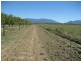 Horseshoe Lagoon QLD 4809