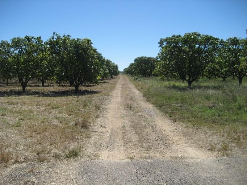 Horseshoe Lagoon QLD 4809