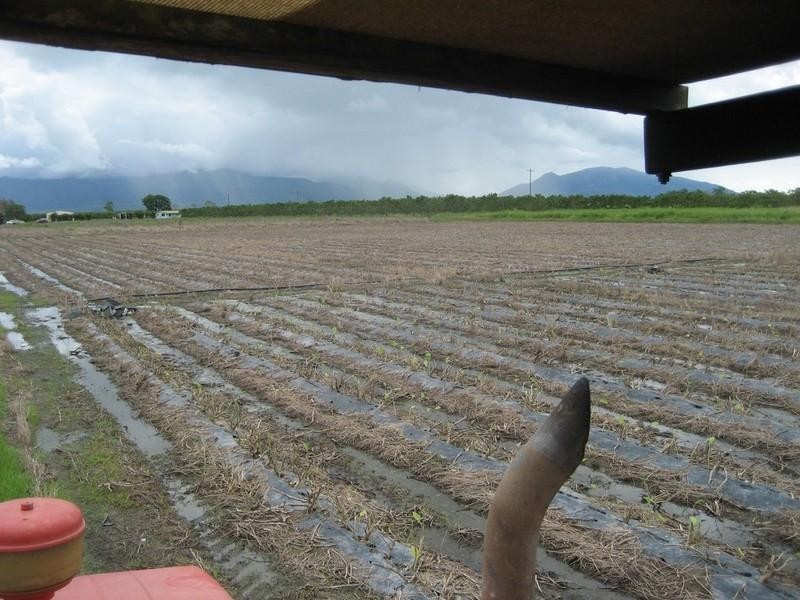 Horseshoe Lagoon QLD 4809