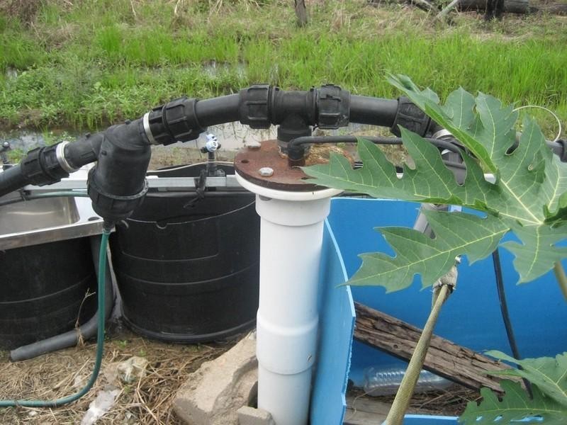 Horseshoe Lagoon QLD 4809