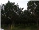 Mount Kelly QLD 4807