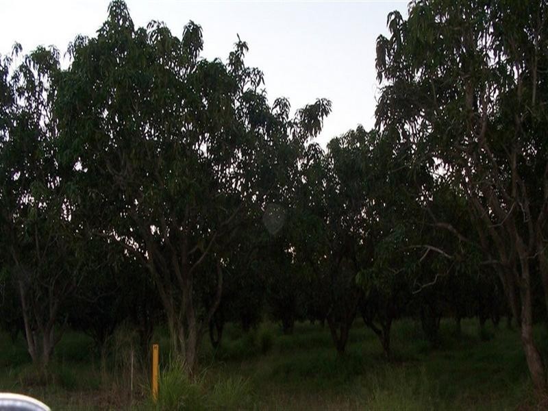 Mount Kelly QLD 4807