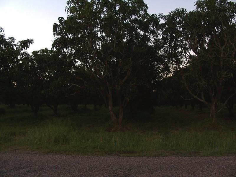 Mount Kelly QLD 4807