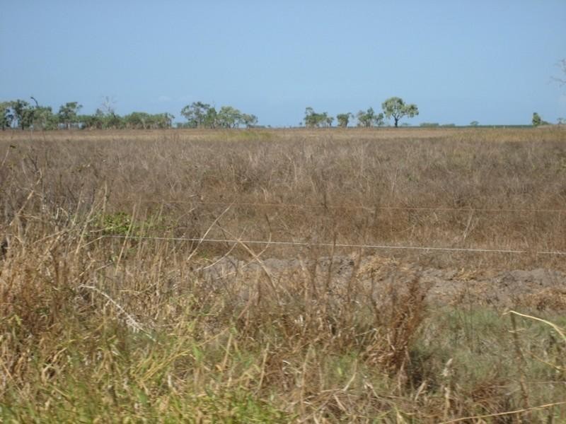 Brandon QLD 4808