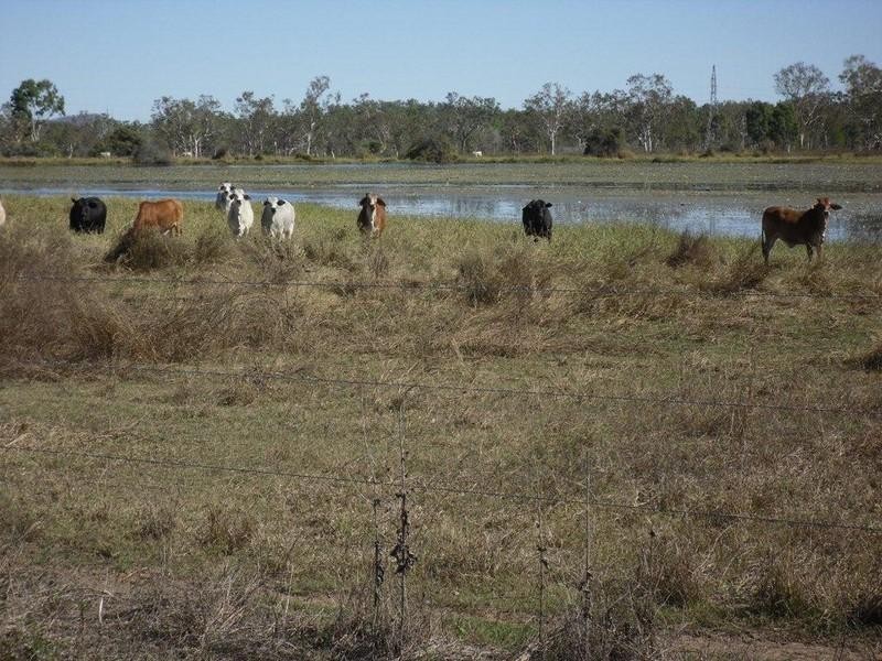 Majors Creek QLD 4816