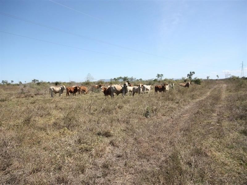 Majors Creek QLD 4816