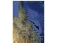 Home Hill QLD 4806