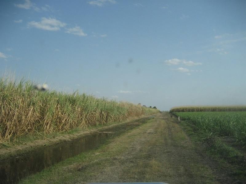 Brandon QLD 4808