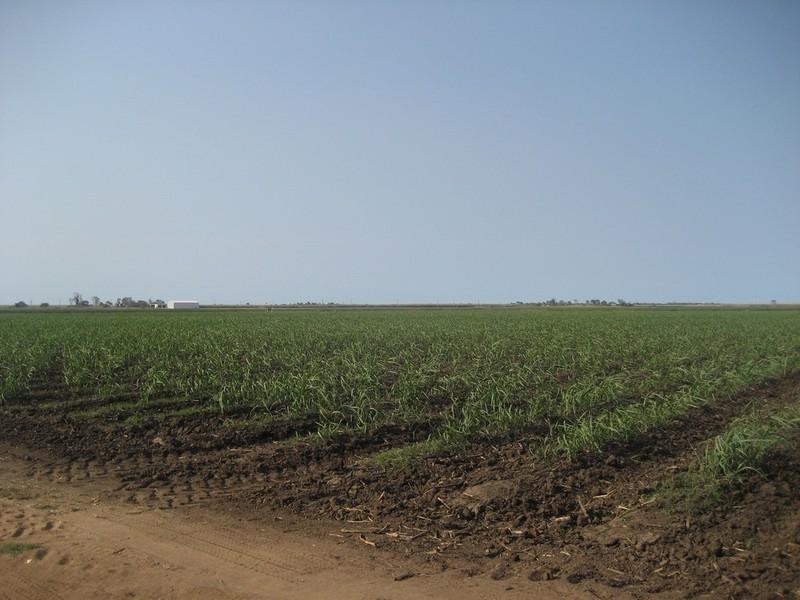 Brandon QLD 4808