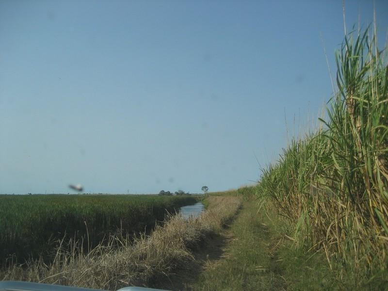 Brandon QLD 4808
