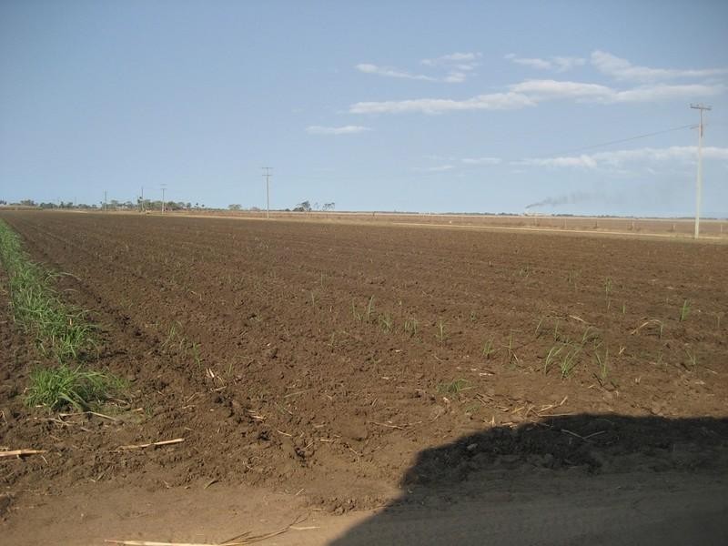 Brandon QLD 4808