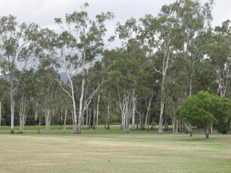 Mount Surround QLD 4809