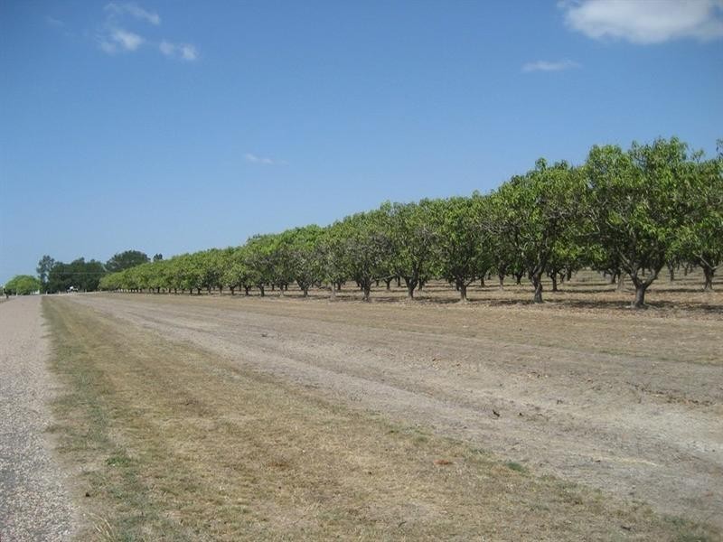 Horseshoe Lagoon QLD 4809