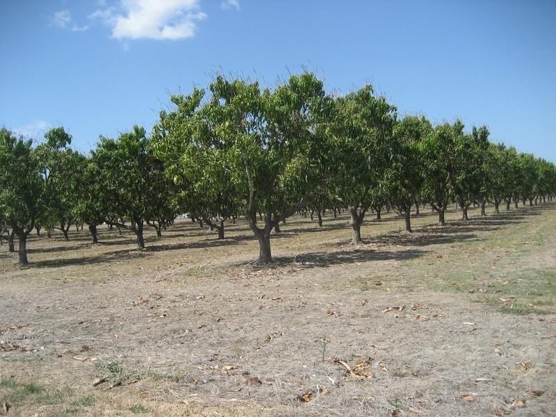 Horseshoe Lagoon QLD 4809