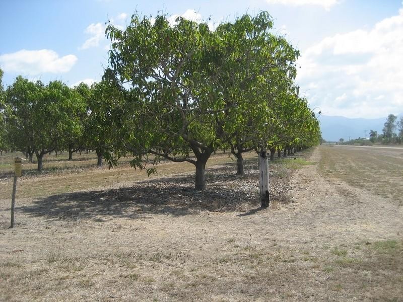 Horseshoe Lagoon QLD 4809