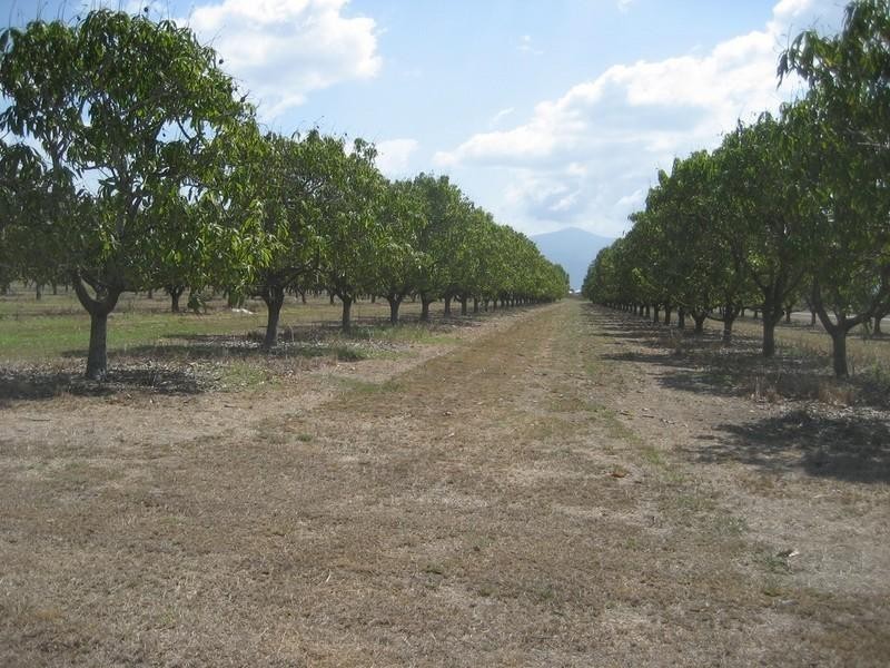 Horseshoe Lagoon QLD 4809