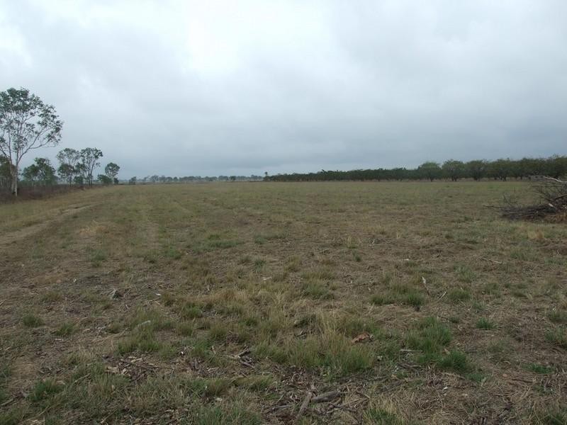Horseshoe Lagoon QLD 4809