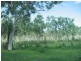 Nome QLD 4816