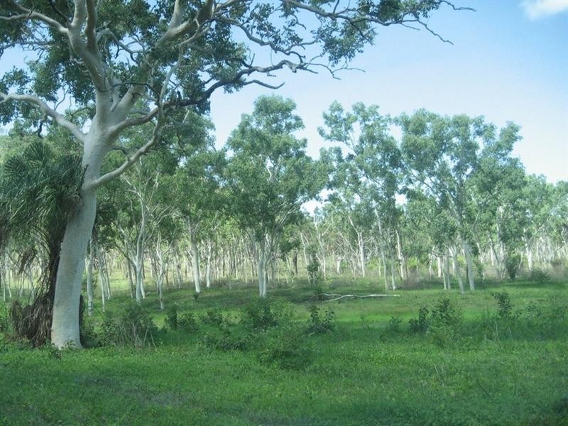 Nome QLD 4816