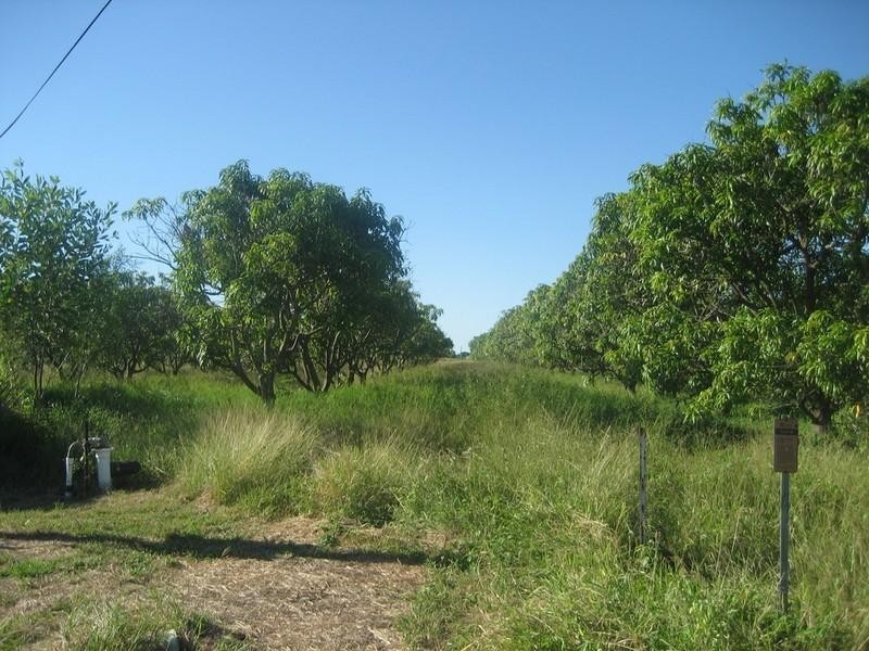 Horseshoe Lagoon QLD 4809