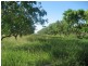 Horseshoe Lagoon QLD 4809