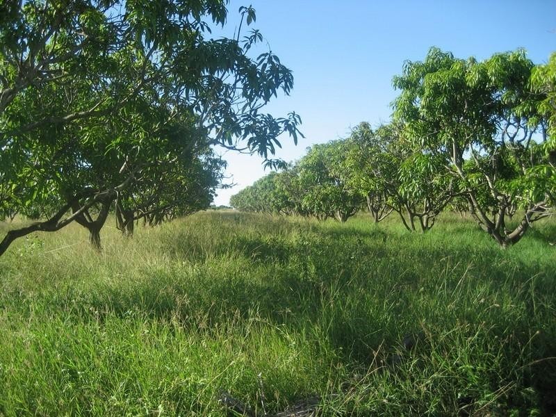 Horseshoe Lagoon QLD 4809