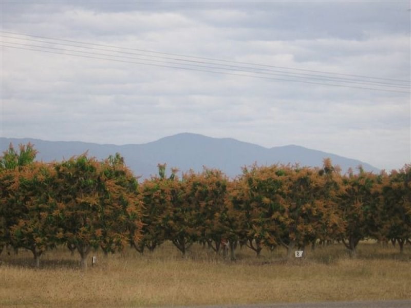 Lot 20 Bartlett Road, Giru QLD 4809