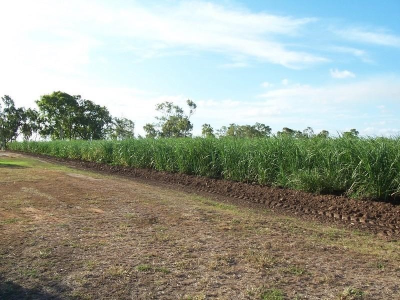 Home Hill QLD 4806