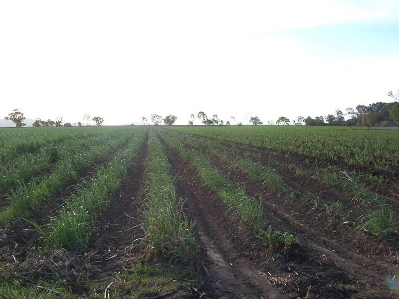 Home Hill QLD 4806