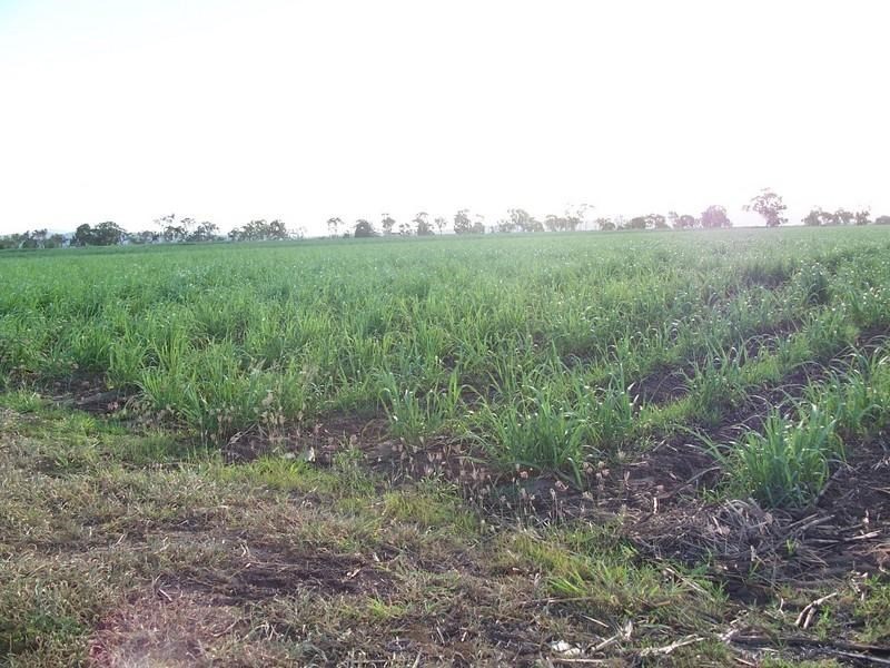 Home Hill QLD 4806