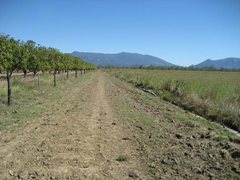 Horseshoe Lagoon QLD 4809